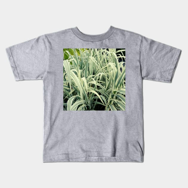 Tall Grass with White Stripes Photo Kids T-Shirt by EdenLiving